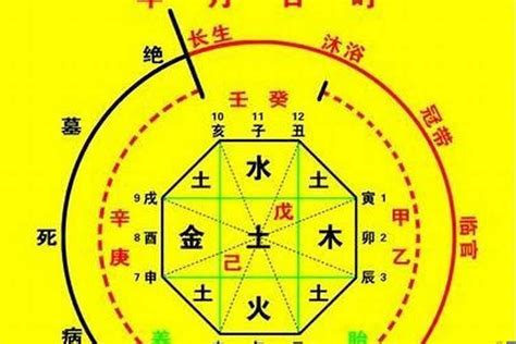 八字喜用神怎麼看|怎樣確定自己的八字喜用神